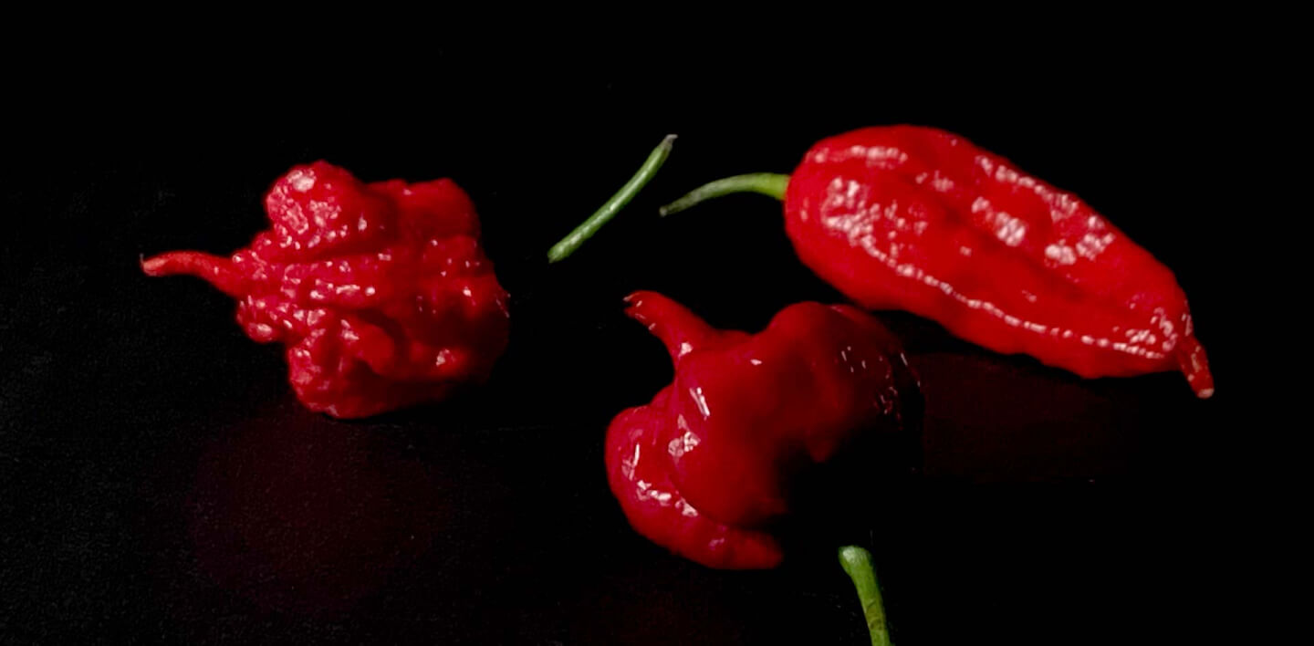 Firecracker Farm Product and Food Image - Steak and Frites